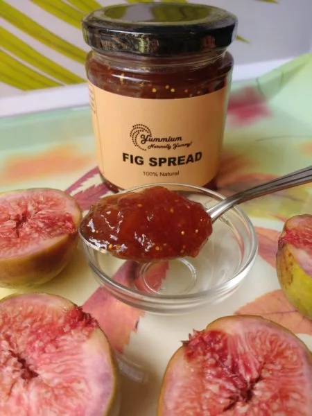 Fig Spread