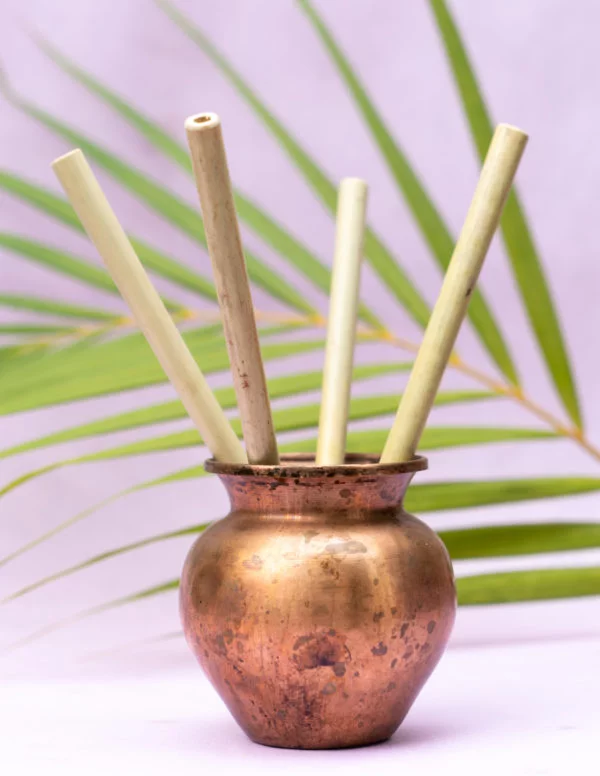 Pack of Bamboo Straws bare necessities