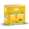 Eat Anytime Mango Ginger Energy Bars 6 Pack