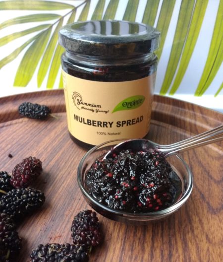 Mulberry Spread