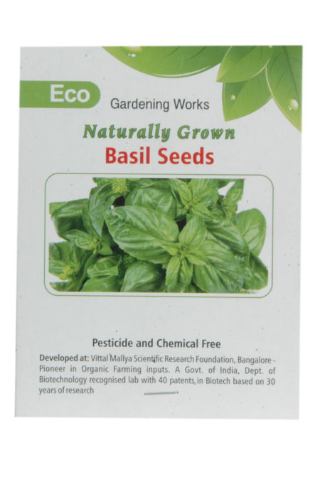 Basil Seeds