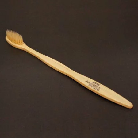 Toothbrush Ancient living