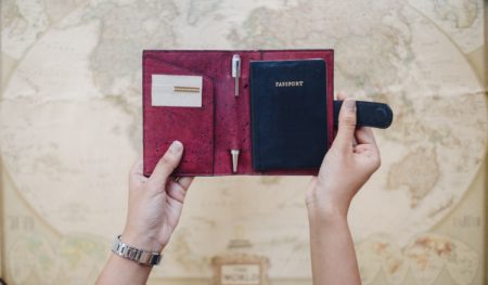 Cedar Passport Wallet Blue Maroon Inside Hand