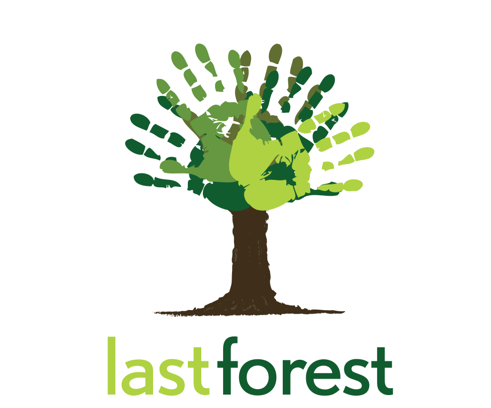 Last Forest