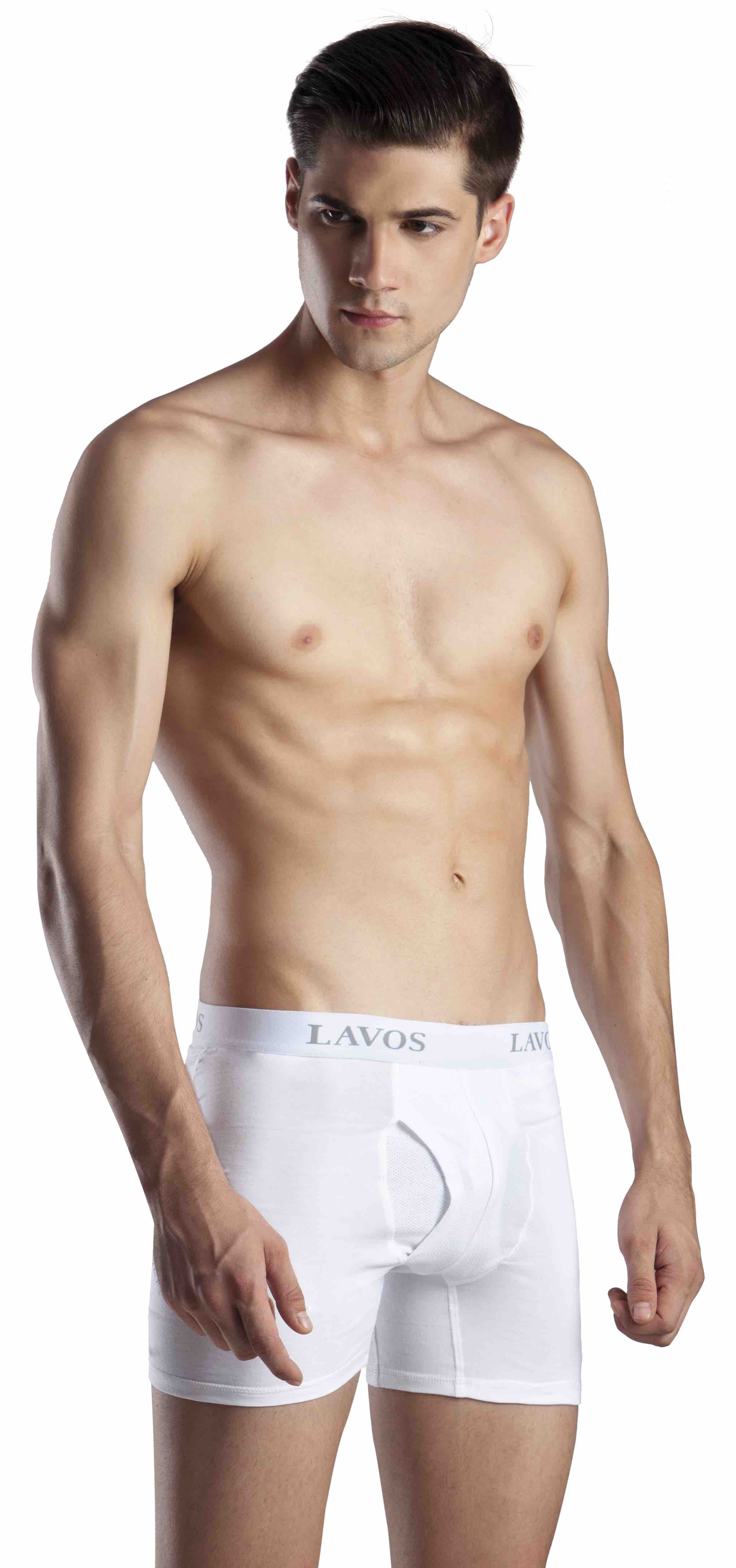 Buy Lavos Men White Bamboo Cotton and Lycra Brief Short Underwear, Small  Online at Best Prices in India - JioMart.