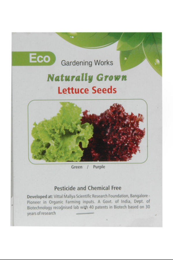 Lettuce Seeds