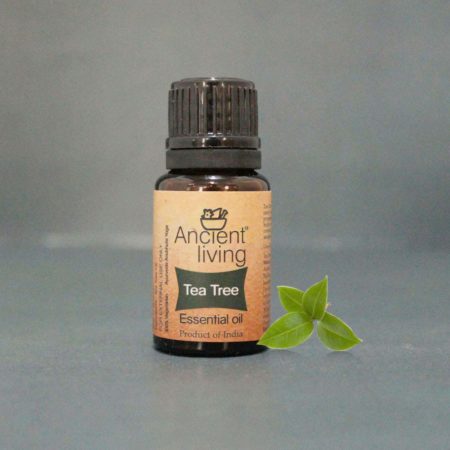 Tea tree