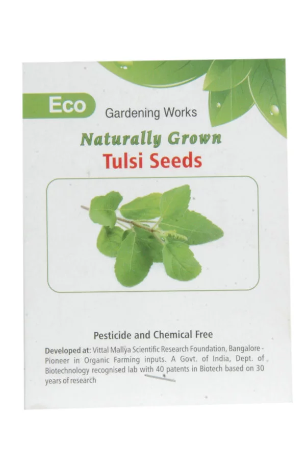 Tulsi Seeds