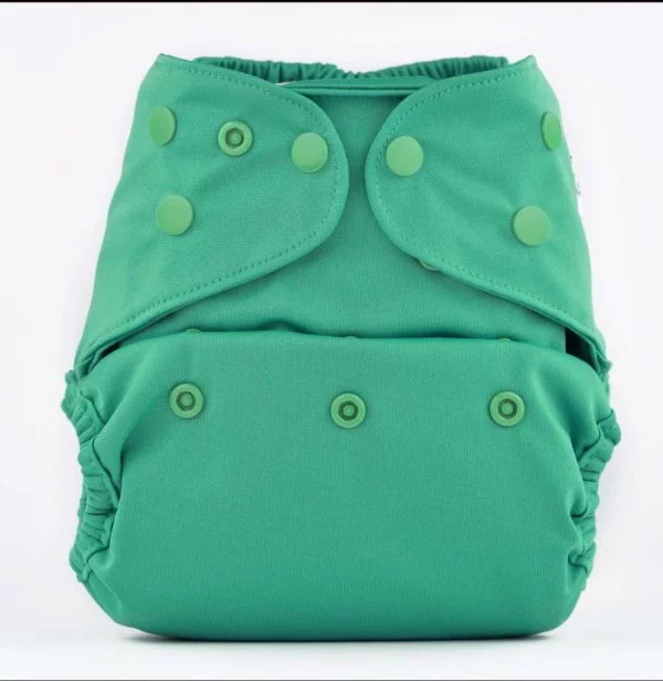 Pocket Diaper (Blue Green)