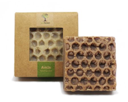 Edge soap Amla 1