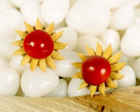 Wild Flowers - Natural Seeds Earrings