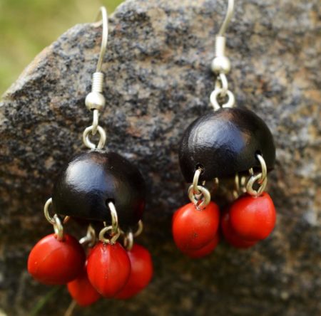 Pukka Parachute Natural Seeds Earrings