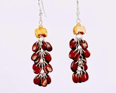 Absolute Abstract Natural Seeds Earrings