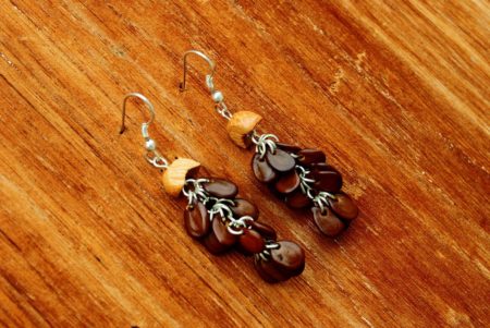 Absolute Abstract Natural Seeds Earrings