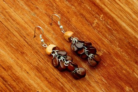 Absolute Abstract Natural Seeds Earrings