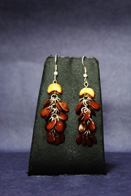 Absolute Abstract Natural Seeds Earrings