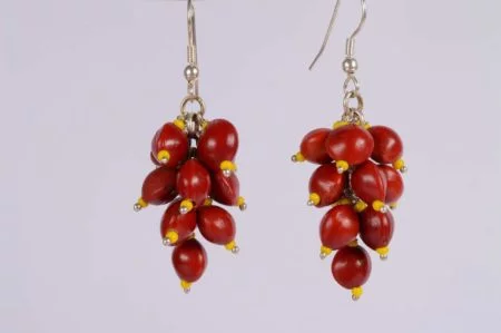 Red Grapes Natural Seeds Earrings