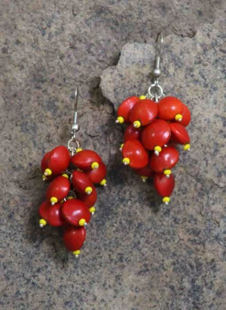 Details more than 118 red coral earrings latest