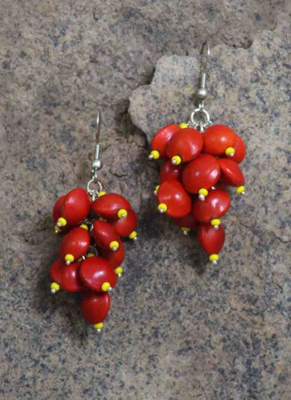 Red Grapes Natural Seeds Earrings