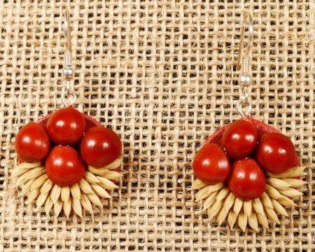 Nestled - Natural Seeds Earrings