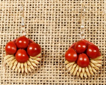 Nestled - Natural Seeds Earrings
