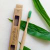 Toothbrush Green