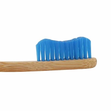 Toothbrush Blue 05