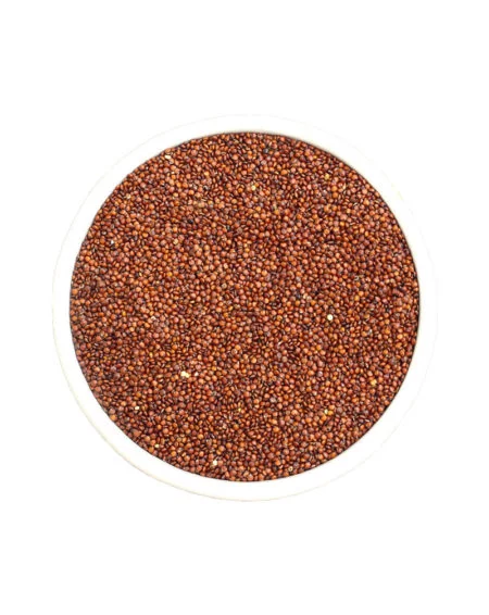 red-quinoa-800x1007