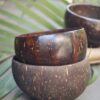 coconut bowl-01