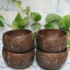 coconut bowl-02