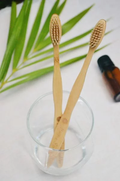 bamboo bristle toothbrush