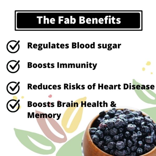 Fabbox Dried Blueberries - 100 gms - Image 3