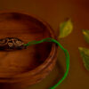 Green Birds Rakhi with Plantable Seeds
