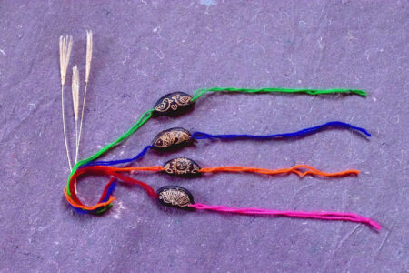 Set of 4 Rakhis with Plantable Seeds - Multicolour