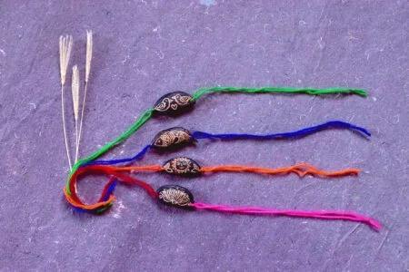 Set of 4 Rakhis with Plantable Seeds - Multicolour