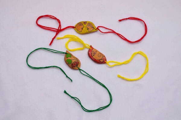 Set of 3 Rakhis with Plantable Seeds - Multicolour
